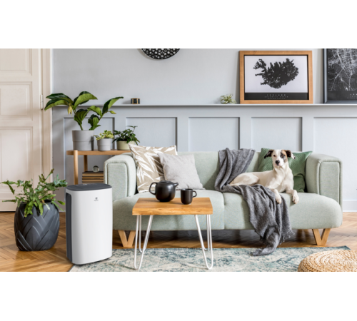 Осушитель воздуха серии CARISMA Loft RD-CR20-E