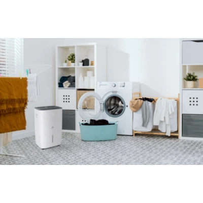 Осушитель воздуха серии CARISMA Villa RD-CR40-E Осушитель воздуха серии CARISMA Villa RD-CR40-E